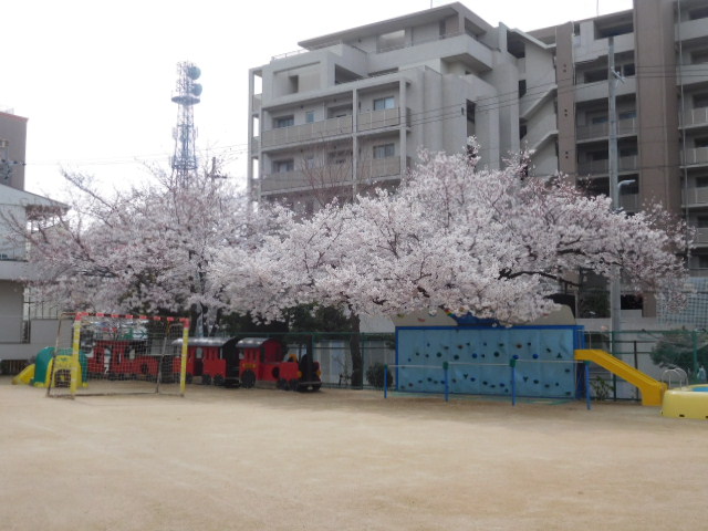 園長先生からのごあいさつ…4月のメッセージ